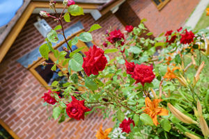 Photo 57- click for photo gallery